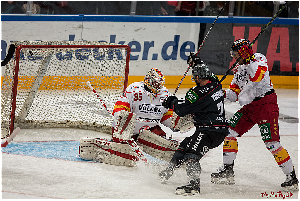 DEL, Koelner Haie - Duesseldorfer EG, 14.02.2017